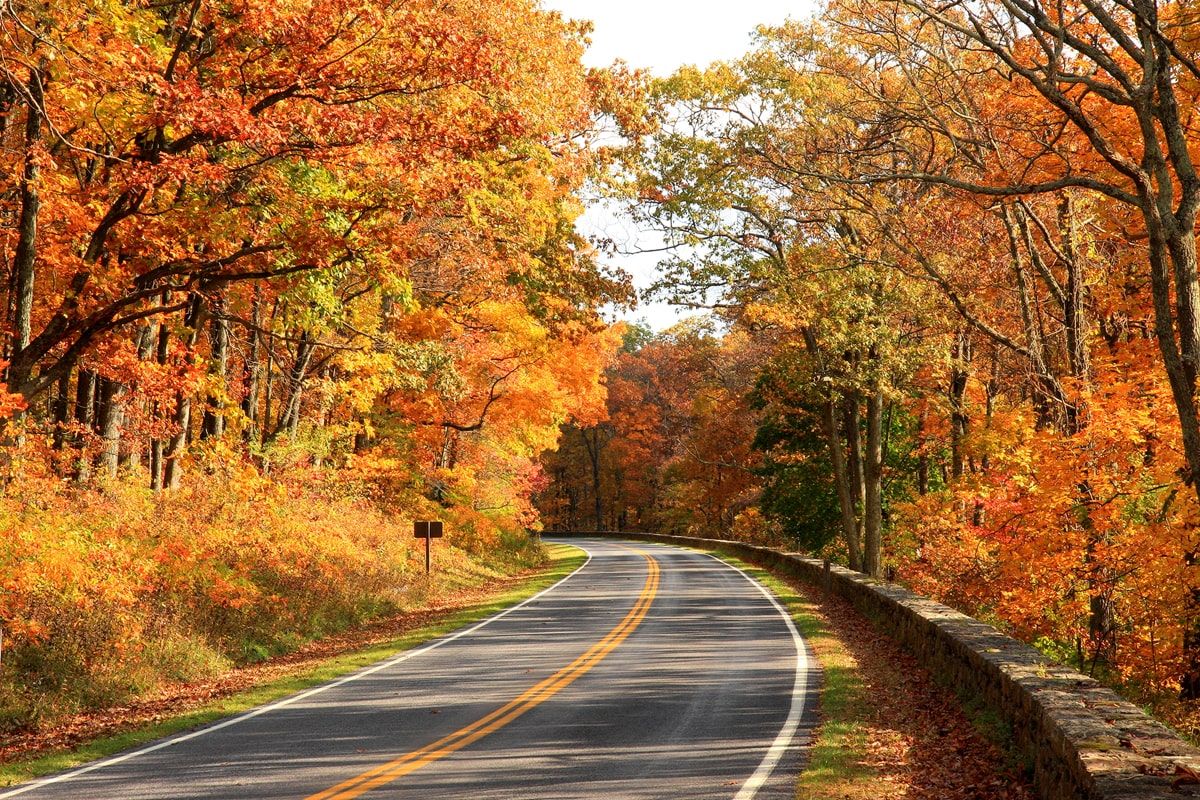 Ultimate Guide to Driving Skyline Drive in Shenandoah National Park Featured Image