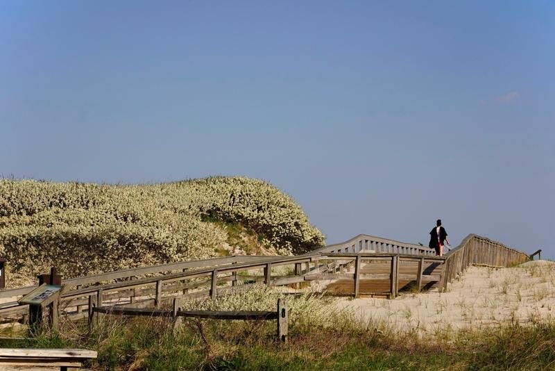 Berkeley Springs State Park: 1st Time Visitor’s Guide Featured Image