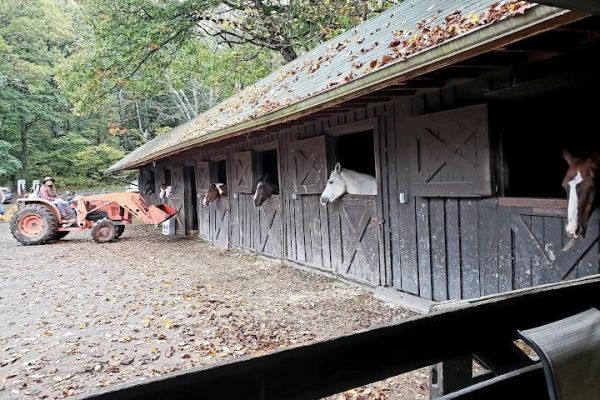 Skyland Stables