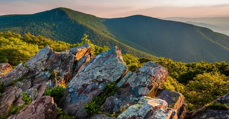 10 Best Hikes in Shenandoah National Park Featured Image