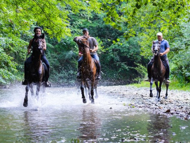wp-content/uploads/2024/08/horse-riding-on-the-river-orig-1.jpg